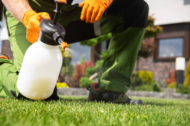 Best Wasp Removal Services  in Clifton, IL