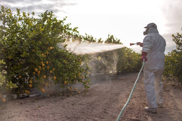 Flea Control Services in Clifton, IL