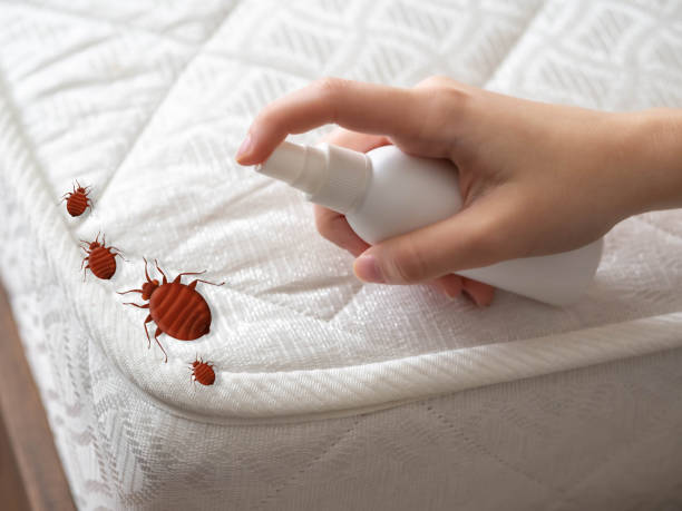 Best Affordable Pest Control Services  in Clifton, IL