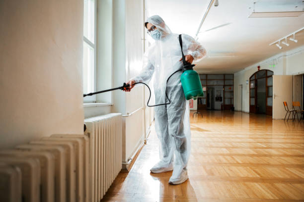 Best Wasp Removal Services  in Clifton, IL