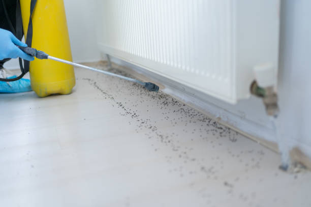 Best Pest Removal Services  in Clifton, IL